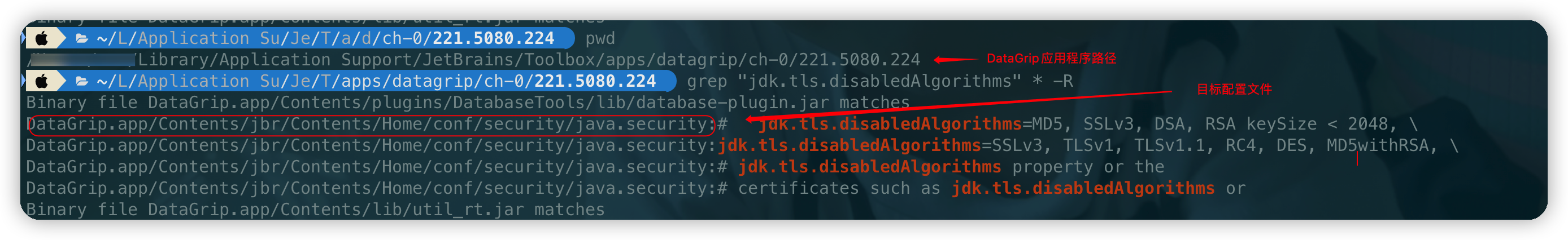 查找jdk.tls.disabledAlgorithms属性